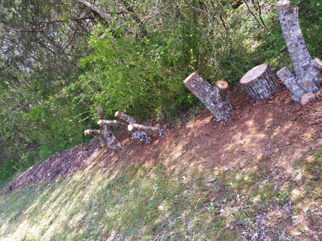 a row of partly buried logs