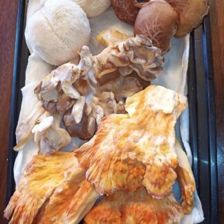 Fresh Mushroom CSA YOUR way