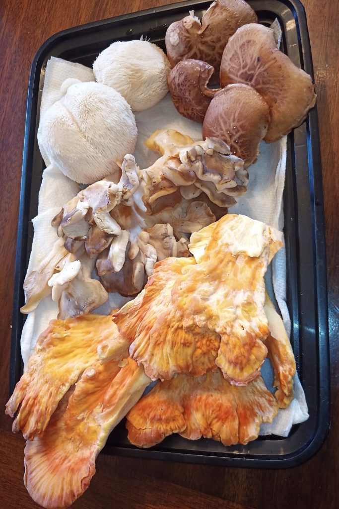 Fresh Mushroom CSA YOUR way