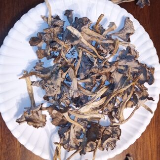 Dried Trumpet Chanty's