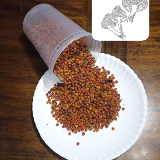 Fragrant Sumac Dried