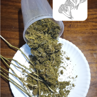 Dry Green Sapling Sassafras Bark