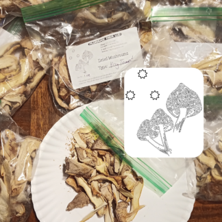 Dried King Trumpet Mushroom Slices