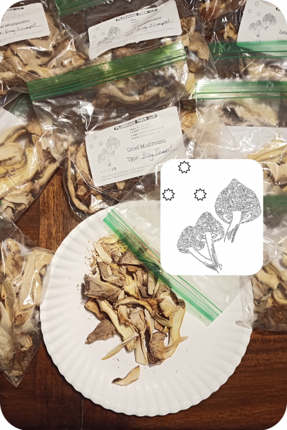 Dried King Trumpet Mushroom Slices